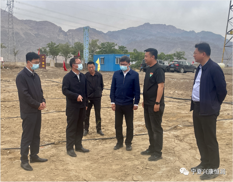 石嘴山市委書記王剛及市領導趙會勇、王宇翔蒞臨公司萬畝酸棗種植基地現場調研指導工作