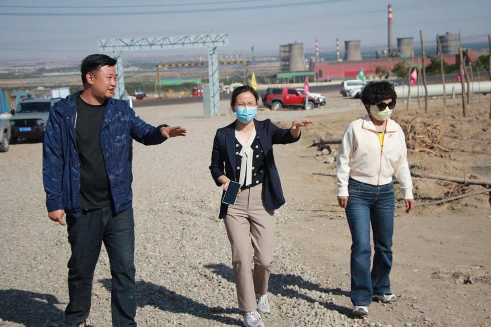 石嘴山市農業農村局副局長徐永霞、農經中心主任王曉斌一行蒞臨基地檢查指導