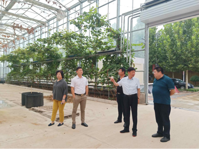 岳氏集團董事長岳平安一行考察廊坊市長征現代農業創意產業園