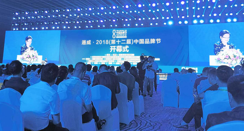 岳平安董事長應邀出席第十二屆中國品牌節