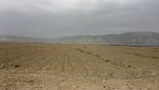 岳平安董事長視察公司牧草光伏農業一體化基地