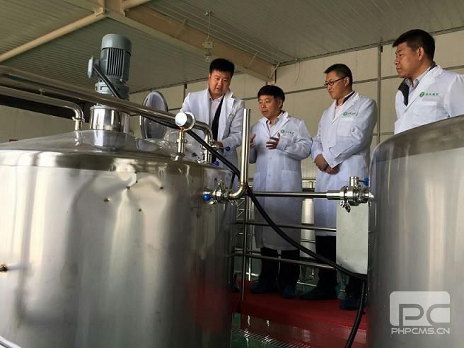 寧夏自治區領導蒞臨岳氏集團寧夏分公司考察調研