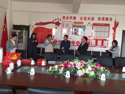 海興開發區黨工委副書記張振紅視察岳氏黨建工作